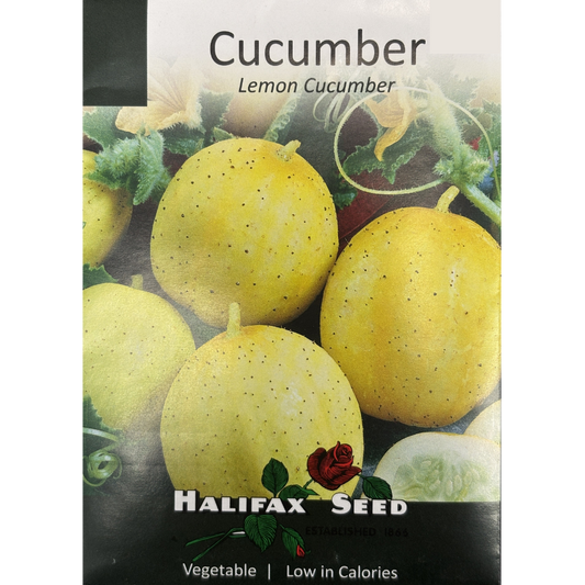 Halifax Seed Cucumber Lemon Pkg.