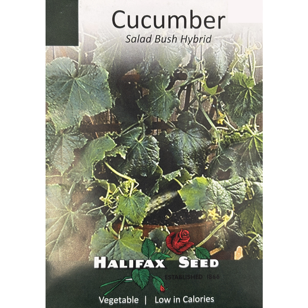Halifax Seed Cucumber Salad Bush Hybrid