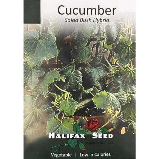 Halifax Seed Cucumber Salad Bush Hybrid