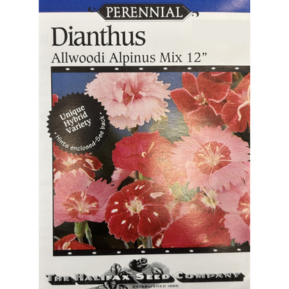 Halifax Seed Dianthus Allwoodi Alpinus Mix Pkg.