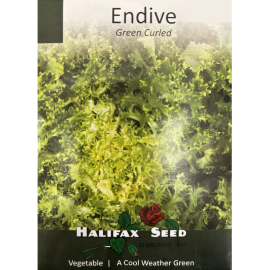 Halifax Seed Endive Green Curled