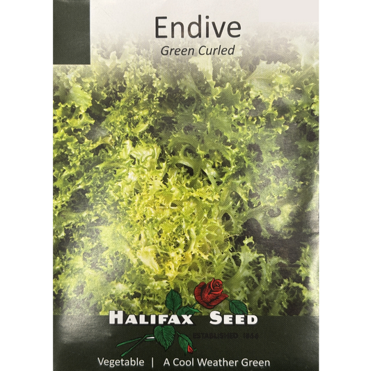 Halifax Seed Endive Green Curled