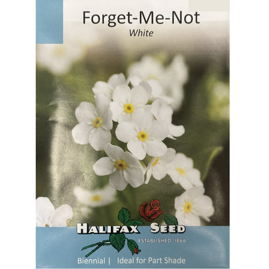 Halifax Seed Forget-Me-Not White Pkg.