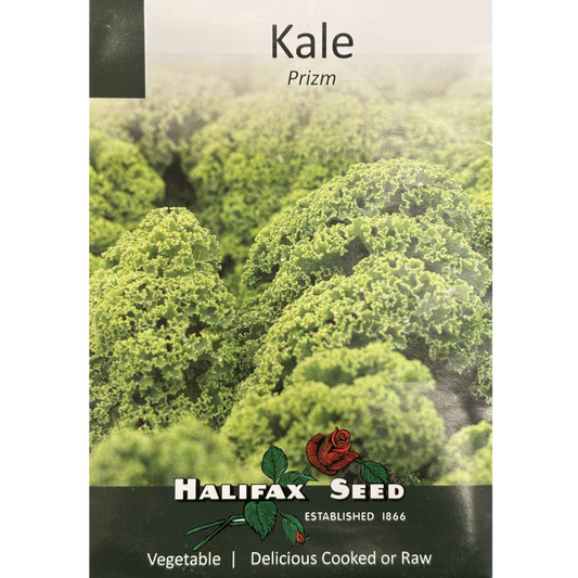 Halifax Seed Kale Prizm Pkg.