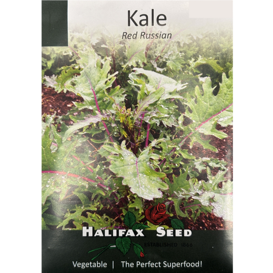 Halifax Seed Kale Red Russian Pkg.