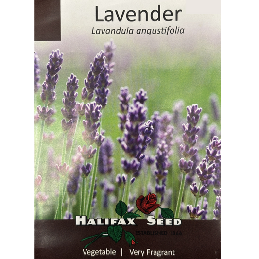Halifax Herb Seed Lavender