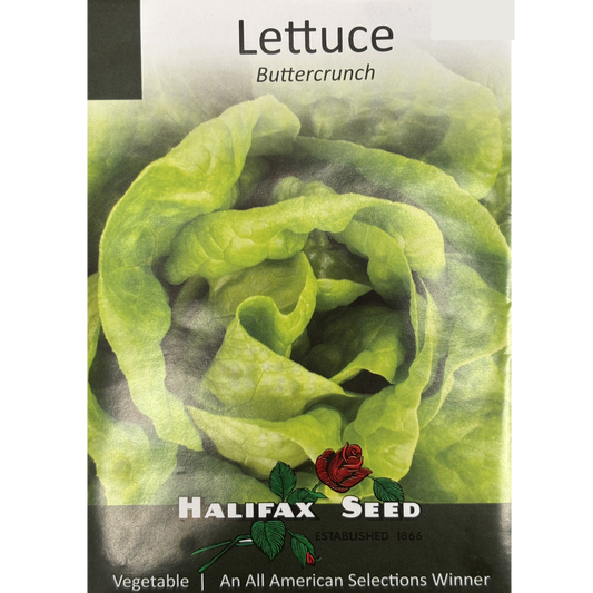 Halifax Seed Lettuce Buttercrunch Pkg.