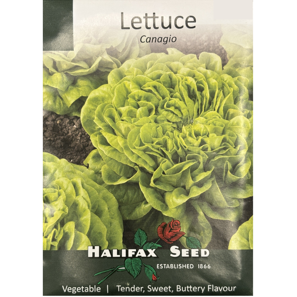Halifax Seed Lettuce Canagio Pkg.