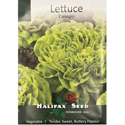 Halifax Seed Lettuce Canagio Pkg.