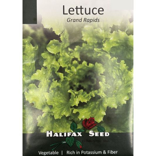 Halifax Seed Lettuce Grand Rapids Pkg.
