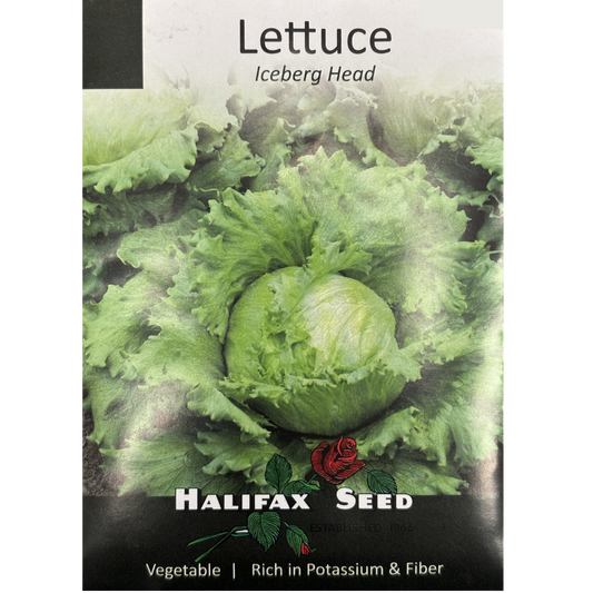 Halifax Seed Lettuce Iceberg Head Pkg.