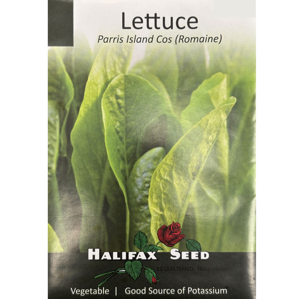 Halifax Seed Lettuce Parris Island Cos (Romaine) Pkg.