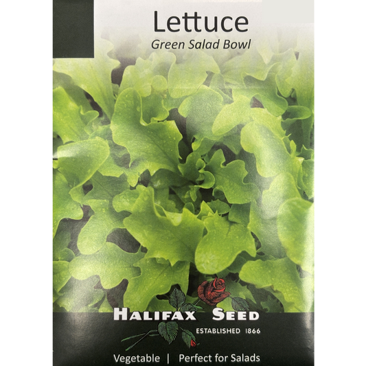 Halifax Seed Lettuce Green Salad Bowl Pkg.