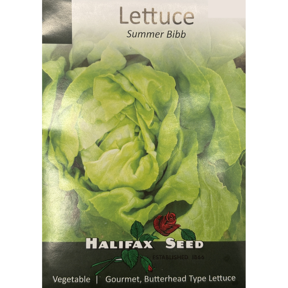 Halifax Seed Lettuce Summer Bibb Pkg.