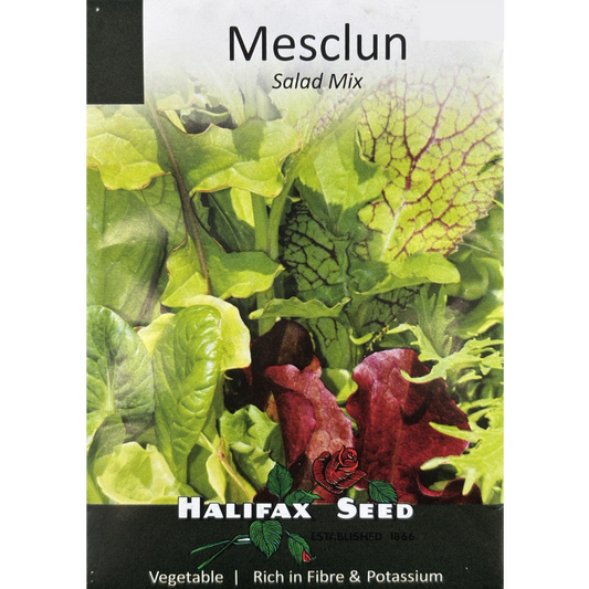 Halifax Seed Mesclun Salad Mix Pkg.