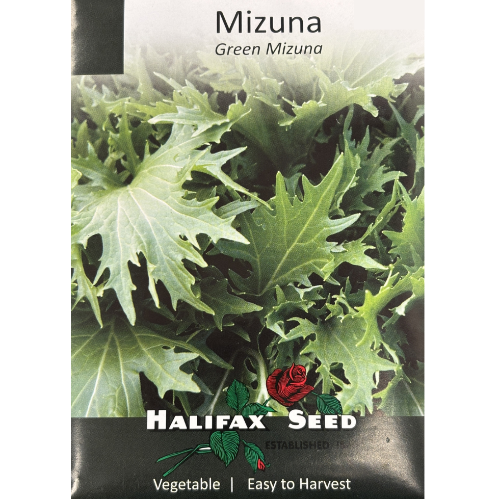 Halifax Seed Mizuna Green