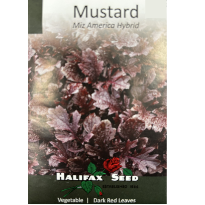 Halifax Seed Mustard Miz America Hybrid Pkg.