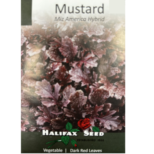 Halifax Seed Mustard Miz America Hybrid Pkg.