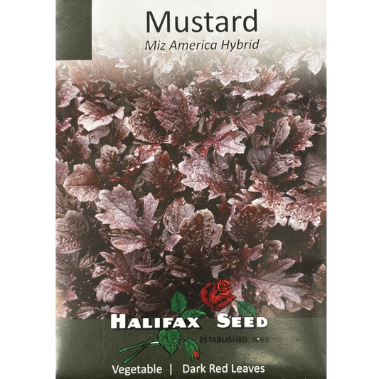 Halifax Seed Mustard Miz America Hybrid Pkg.