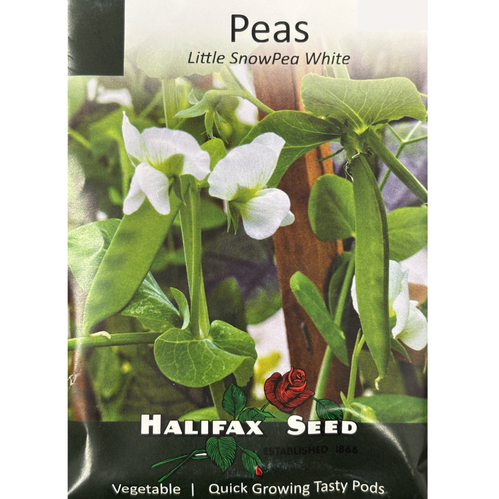 Halifax Seed Peas Little Snow Pea White Pkg.