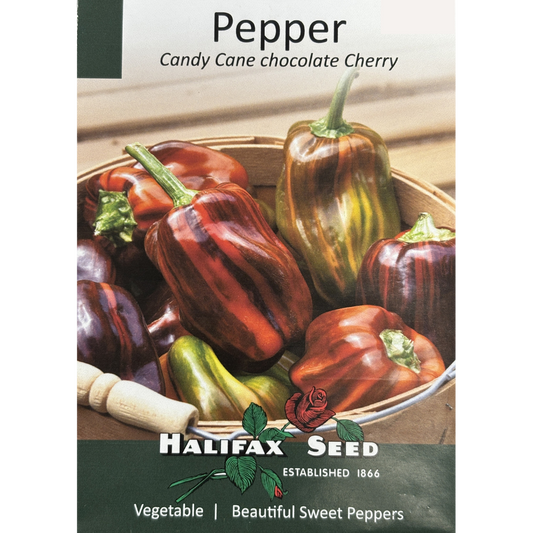 Halifax Seed Pepper Candy Cane Chocolate Cherry Pkg.