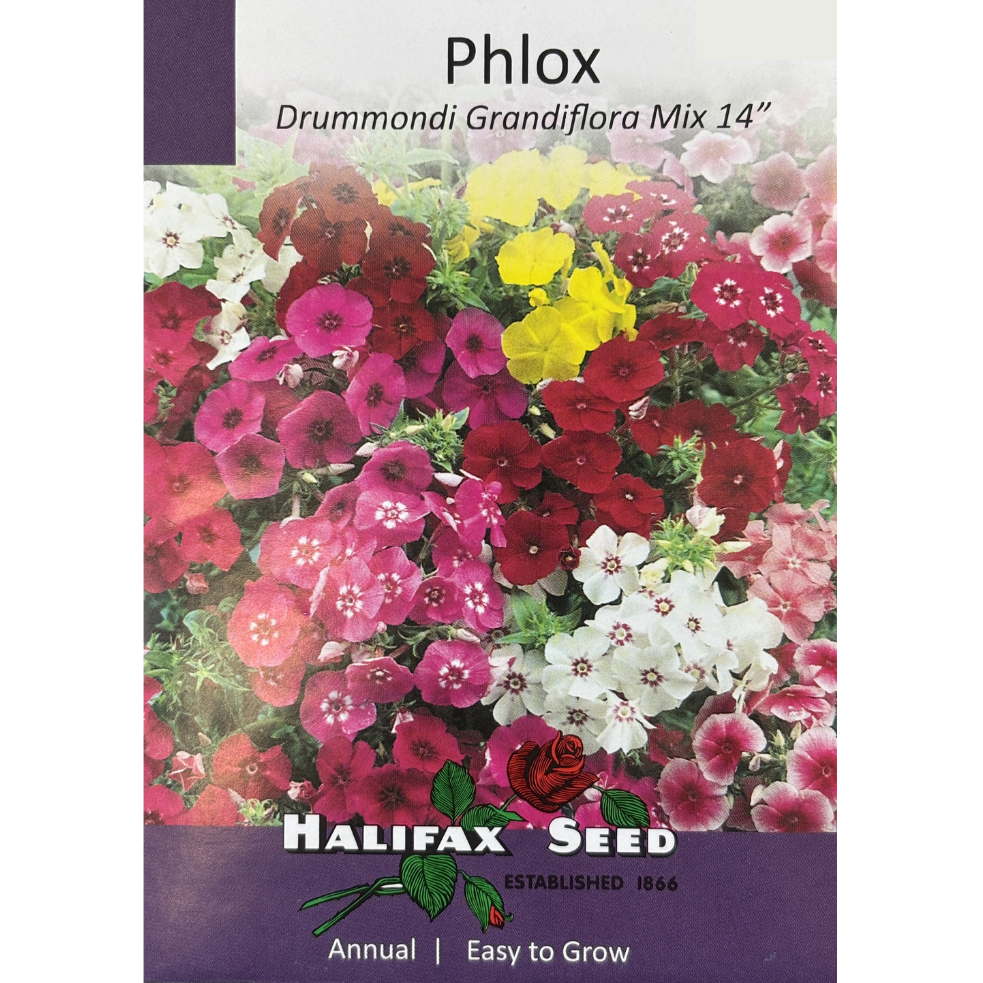 Halifax Seed Phlox Drummondi Grandiflora Mix Pkg.