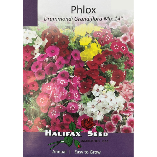 Halifax Seed Phlox Drummondi Grandiflora Mix Pkg.