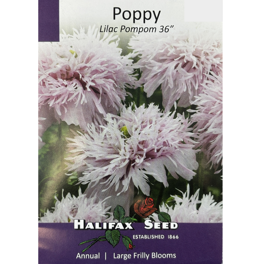 Halifax Seed Poppy Lilac Pompom Pkg.