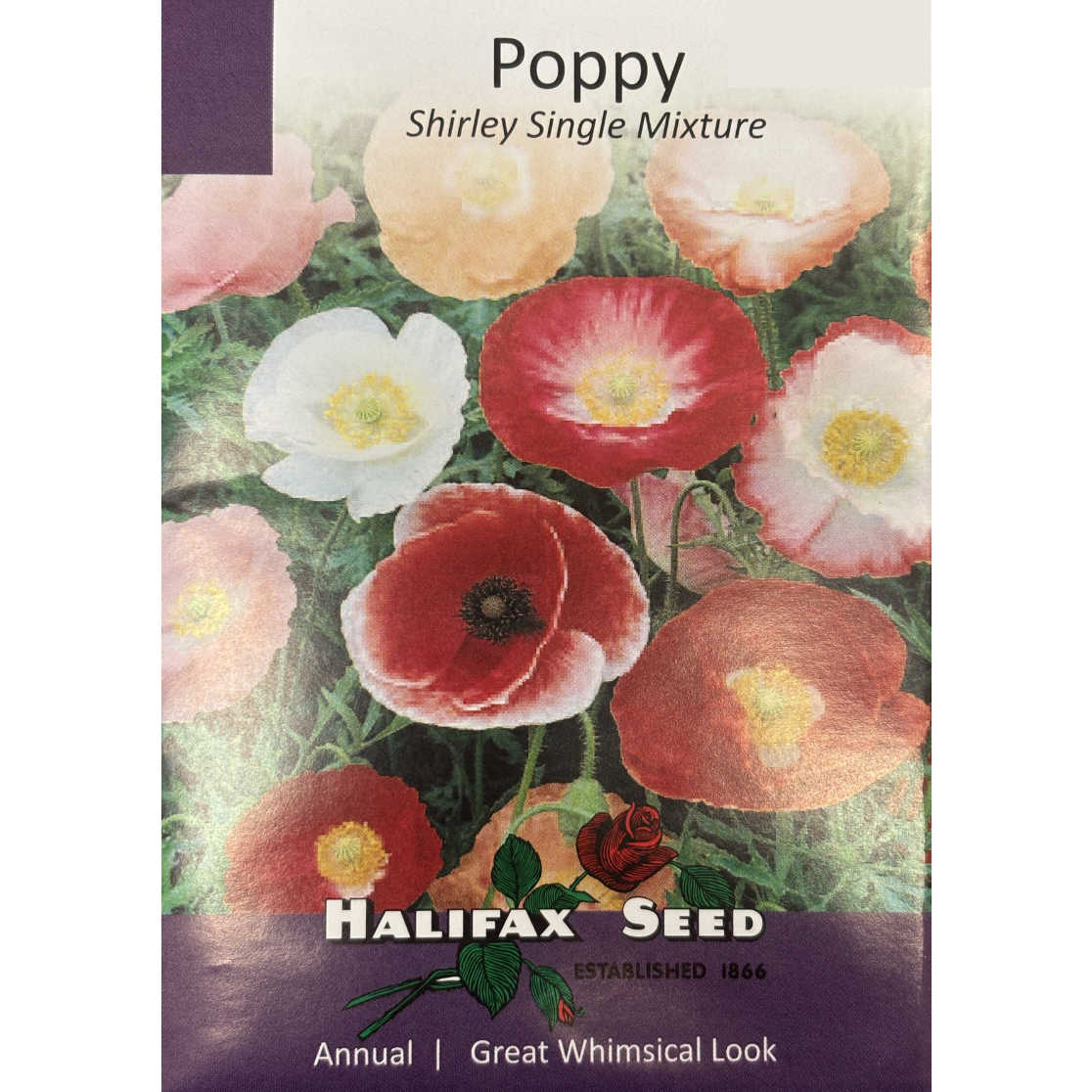 Halifax Seed Poppy Shirley Single Mixture Pkg.