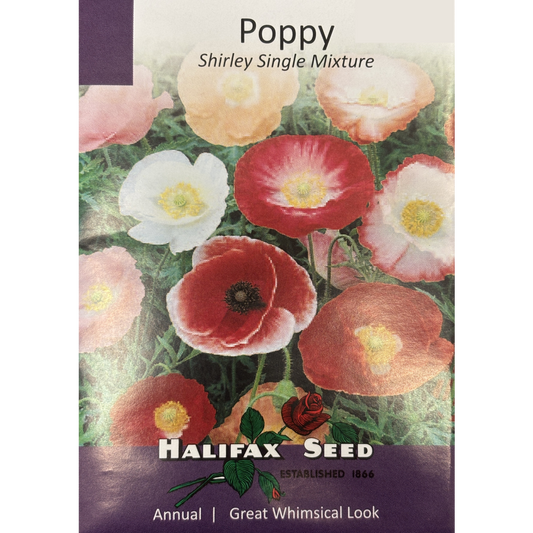 Halifax Seed Poppy Shirley Single Mixture Pkg.