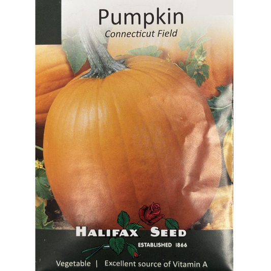 Halifax Seed Pumpkin Connecticut Field Pkg.