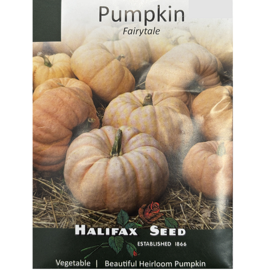 Halifax Seed Pumpkin Fairytale Pkg.