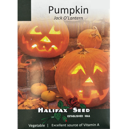 Halifax Seed Pumpkin Jack O'Lantern Pkg.