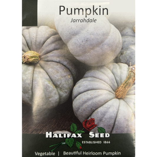 Halifax Seed Pumpkin Jarrahdale Pkg.