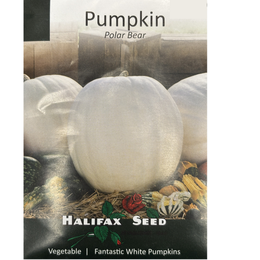 Halifax Seed Pumpkin Polar Bear Pkg.