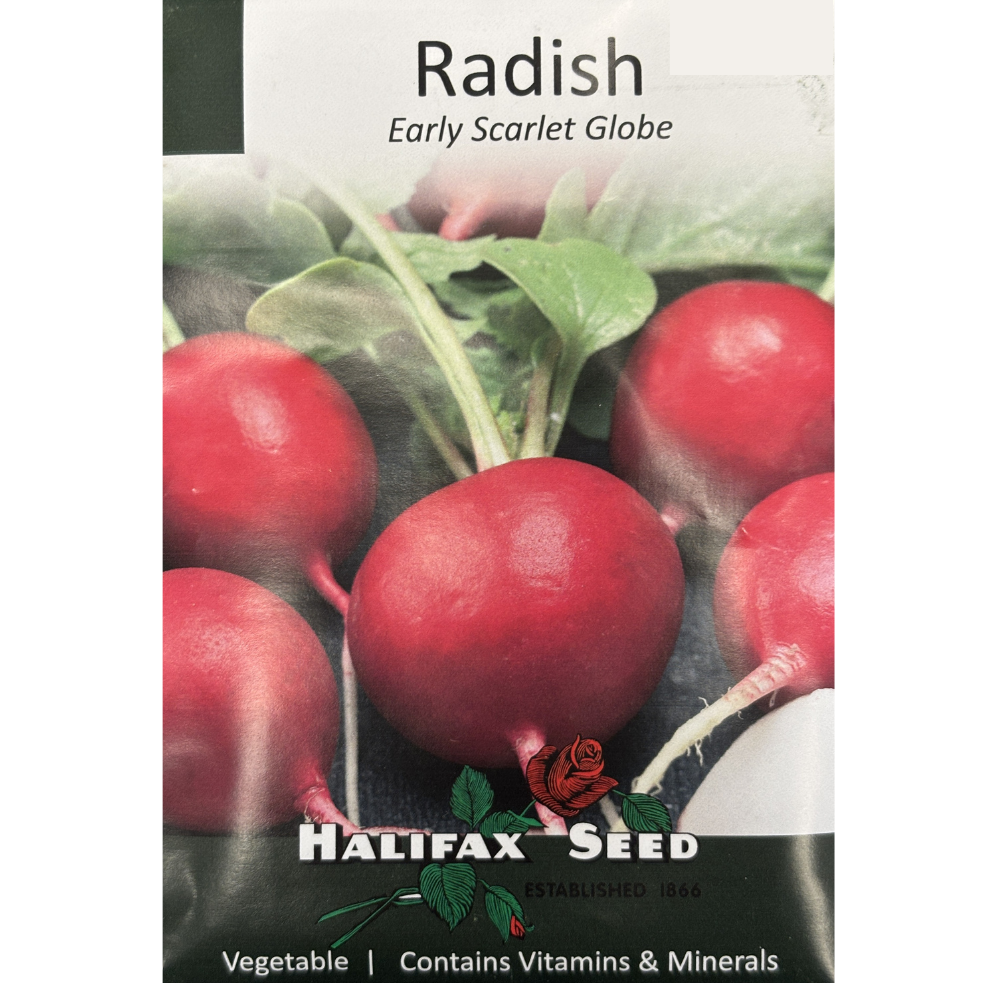 Halifax Seed Radish Early Scarlet Globe Pkg.