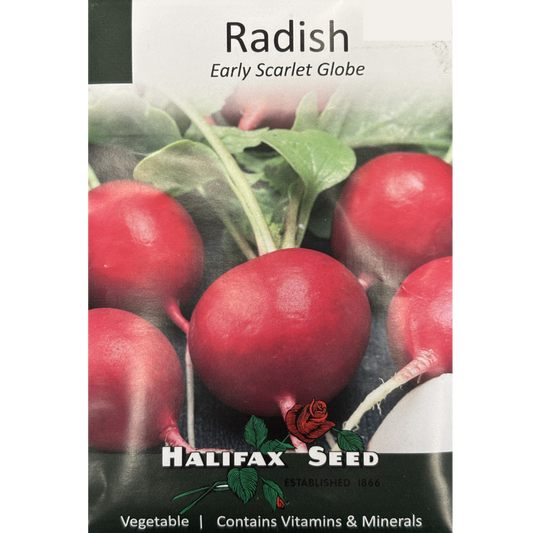 Halifax Seed Radish Early Scarlet Globe Pkg.