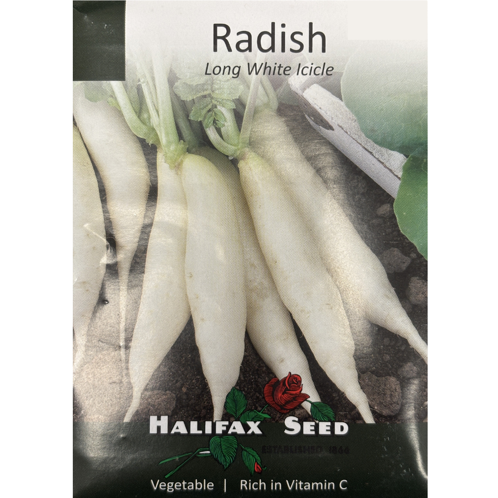 Halifax Seed Radish Long White Icicle Pkg.