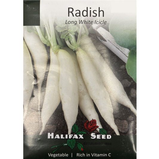 Halifax Seed Radish Long White Icicle Pkg.