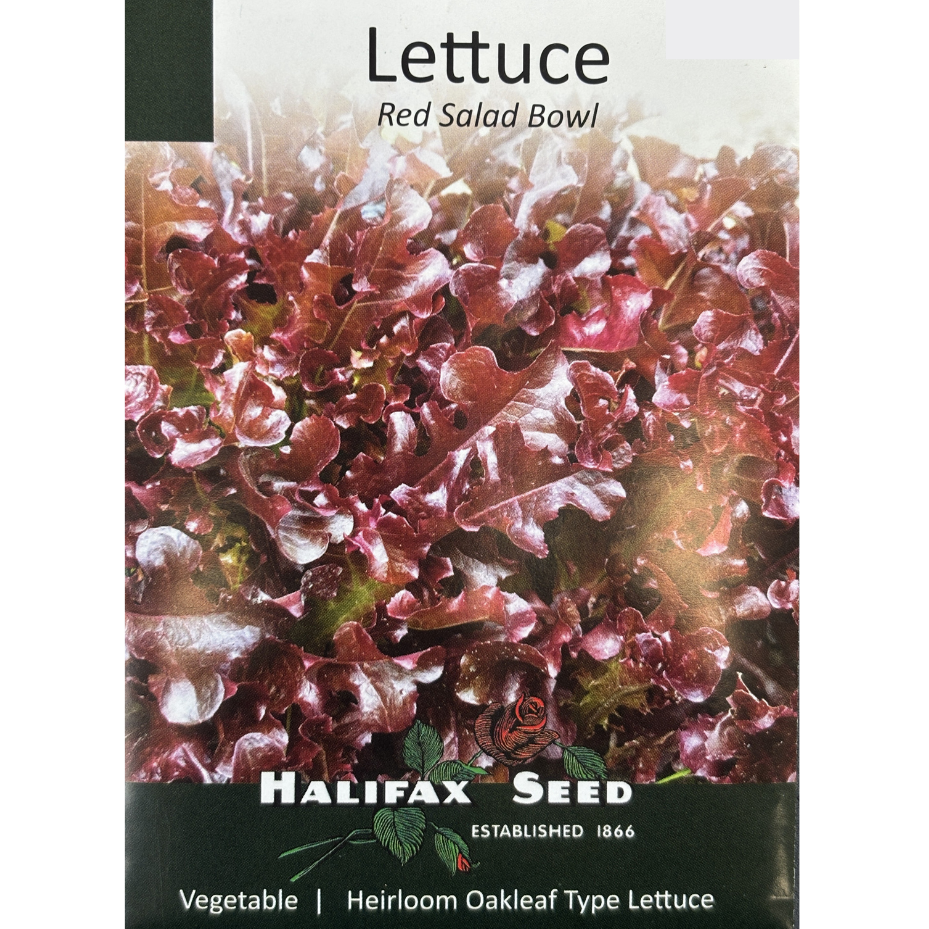 Halifax Seed Lettuce Salad Bowl Red Pkg.
