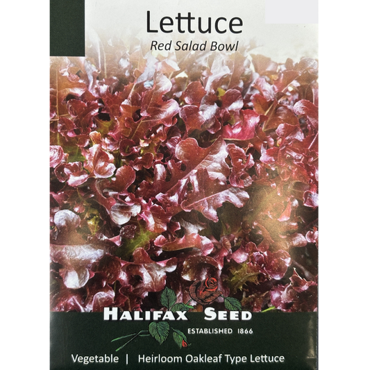 Halifax Seed Lettuce Salad Bowl Red Pkg.