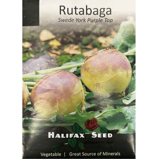 Halifax Seed Rutabaga Swede York Purple Top Pkg.