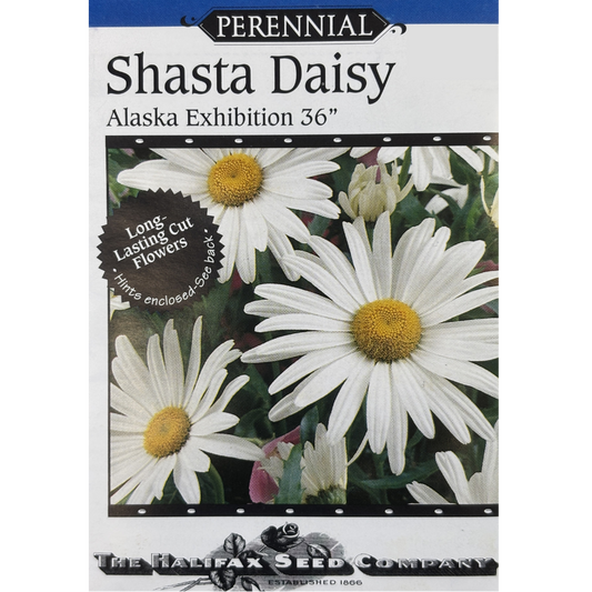 Halifax Seed Daisy Shasta Alaska Exhibitiion Pkg.