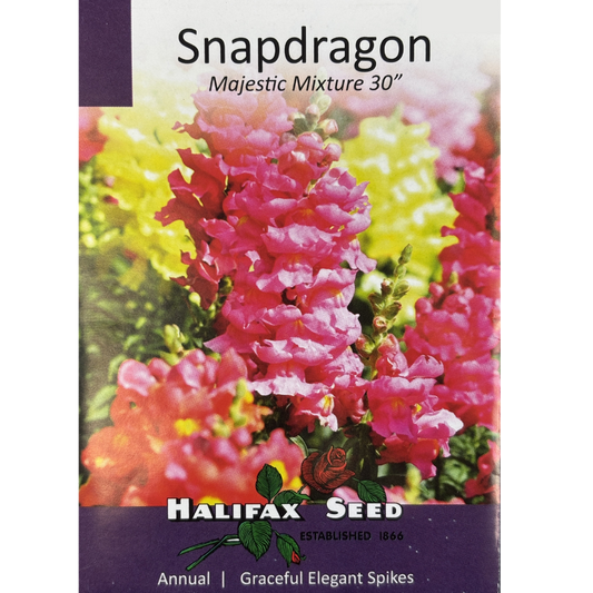 Halifax Seed Snapdragon Majestic Mixture 30"