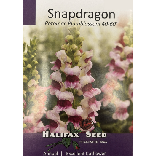 Halifax Seed Snapdragon Potomac Plumblossom Pkg.