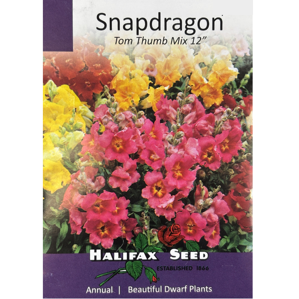 Halifax Seed Snapdragon Tom Thumb Mix