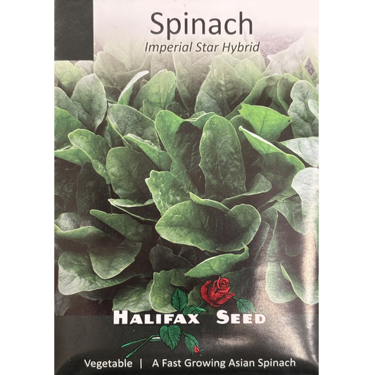 Halifax Seed Spinach Imperial Star Hybrid Pkg.