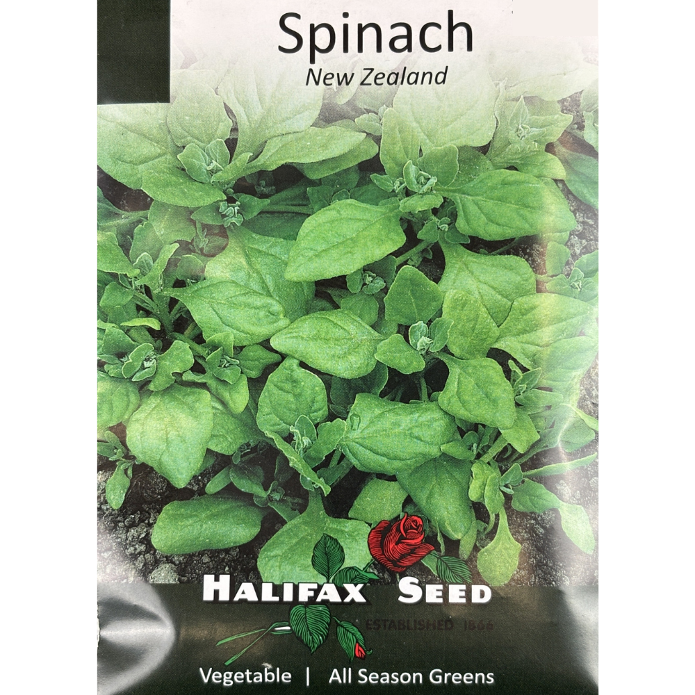 Halifax Seed Spinach New Zealand Pkg.