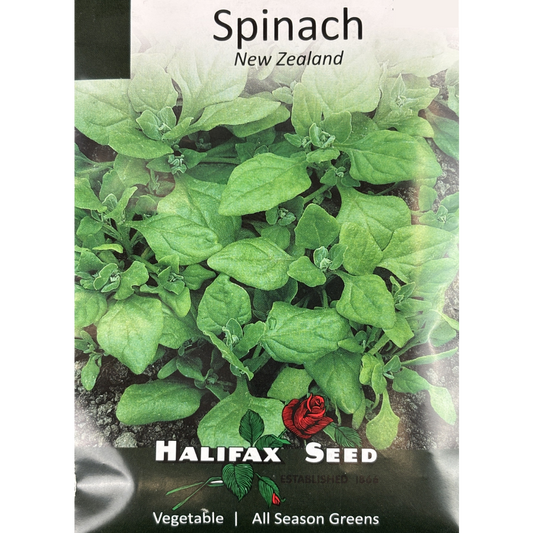 Halifax Seed Spinach New Zealand Pkg.
