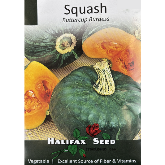 Halifax Seed Squash Buttercup Burgess Pkg.
